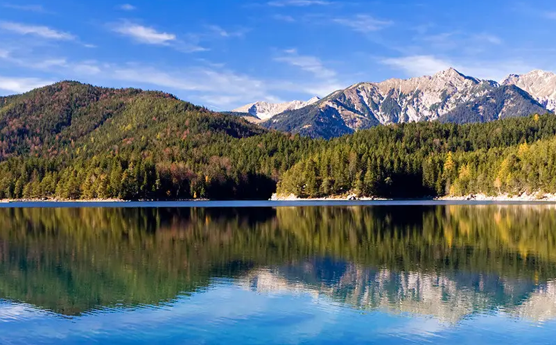 1651045662922576.png image.png