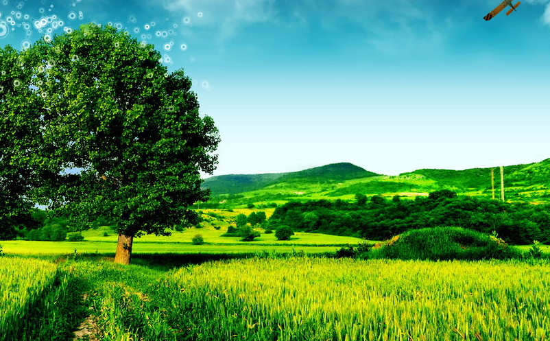 1651045823607115.png image.png