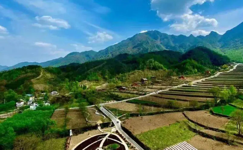 1651046515121275.png image.png