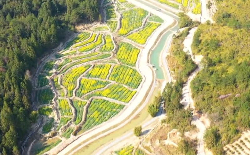 1651829820839143.png image.png