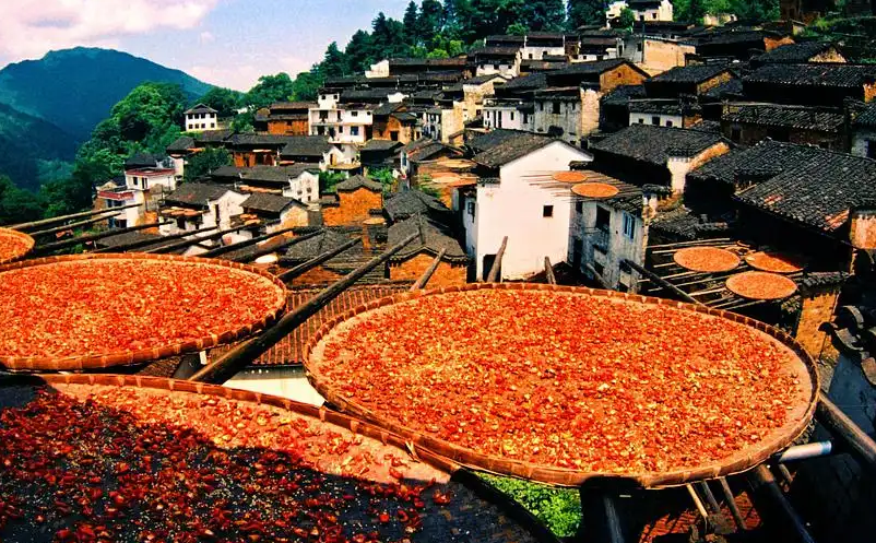 1652259027635372.png image.png