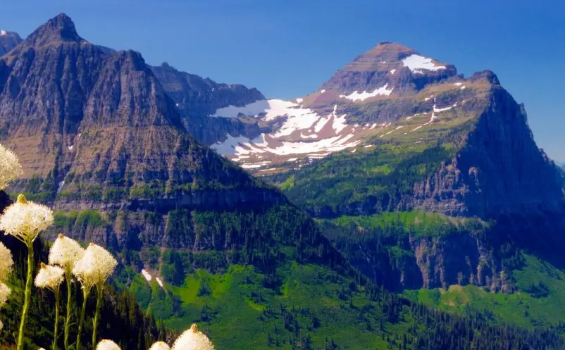 1652693199311165.png image.png