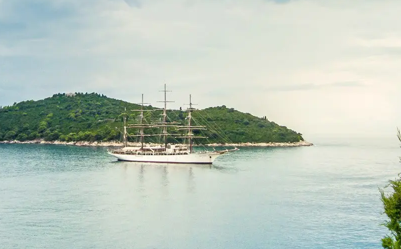 1652693357192850.png image.png