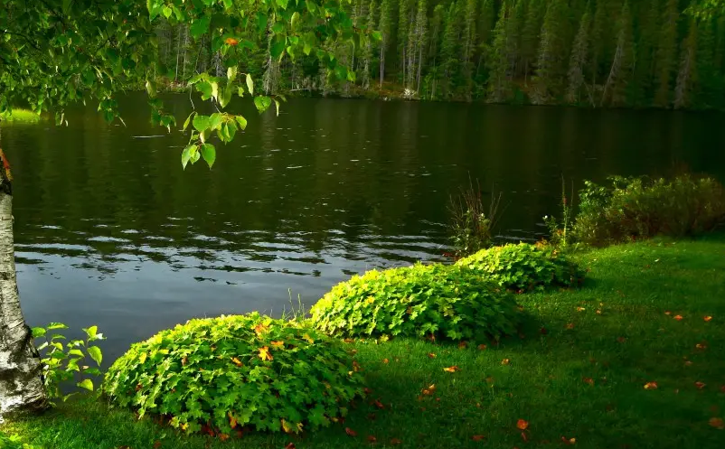 1652777201210214.png image.png