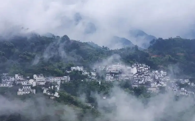 1652951643575575.png image.png