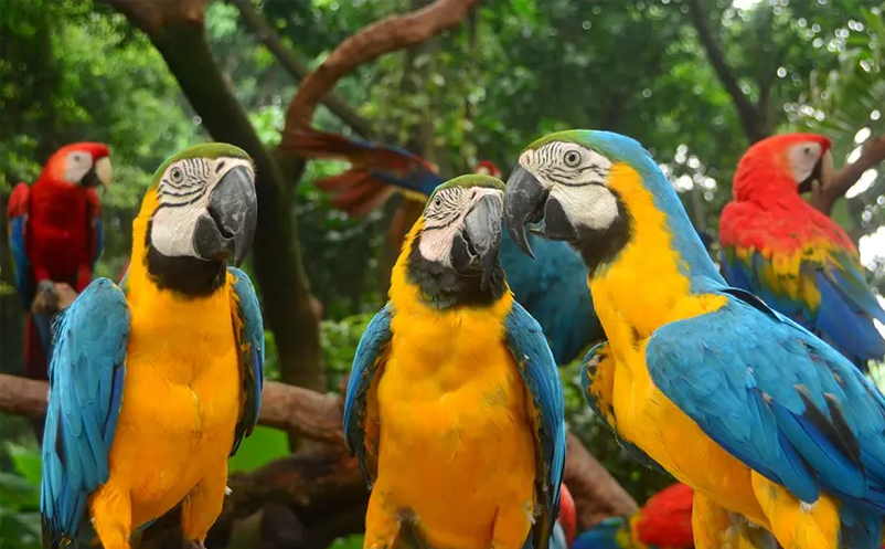 1653286921975529.png image.png