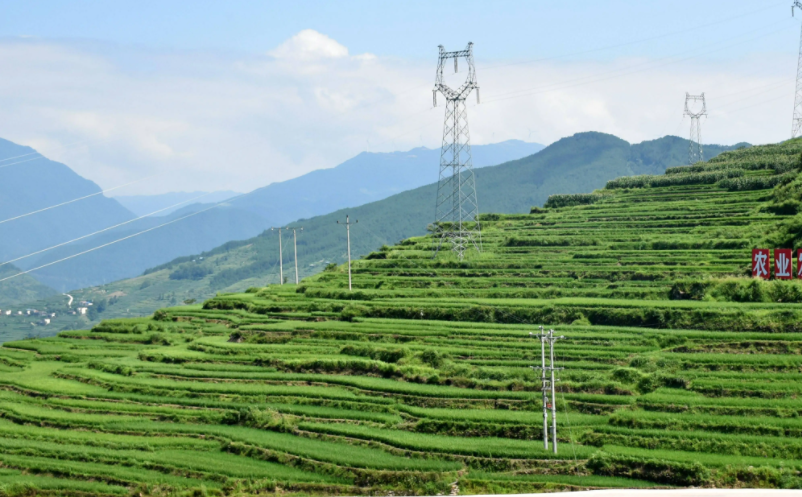 1653469919260436.png image.png