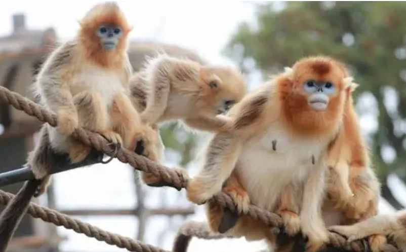 1653555792316999.png image.png