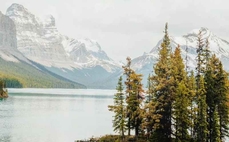 1653988043721352.png image.png