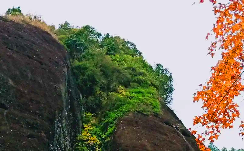 1654066674496193.png image.png