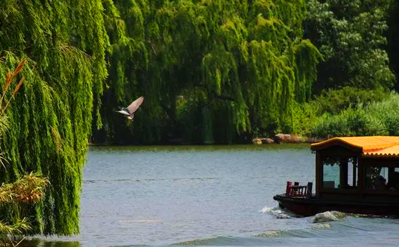 1654152808477124.png image.png