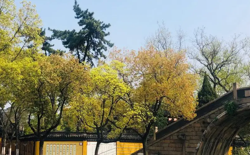 1654153244607292.png image.png