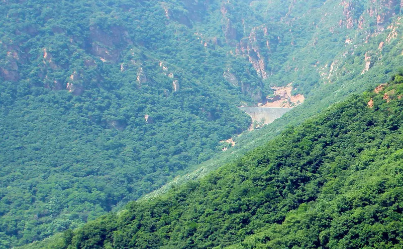 1654155766718442.png image.png