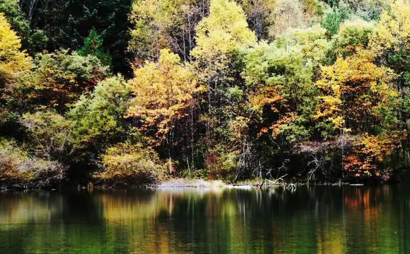 1654678369151428.png image.png