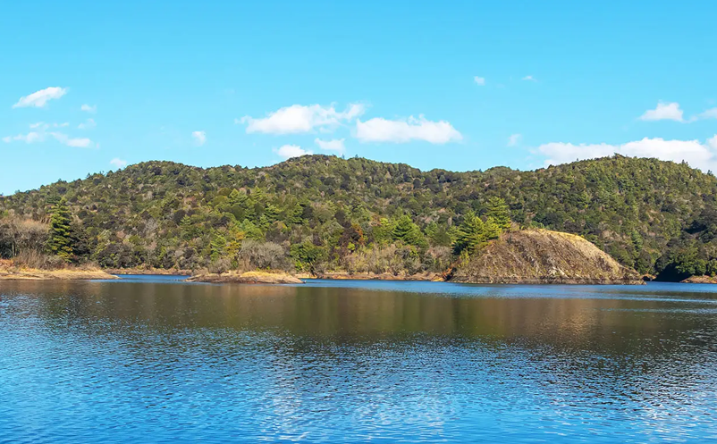 1654767679162367.png image.png