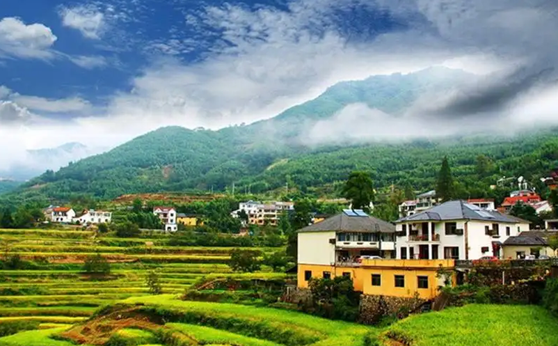 1654850987548656.png image.png