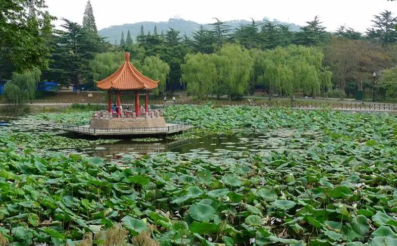 1655201109151354.png image.png