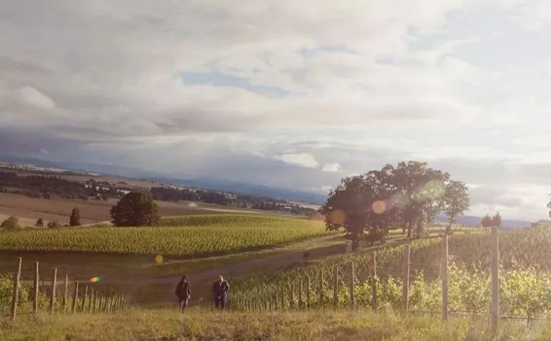 1655286860932744.png image.png