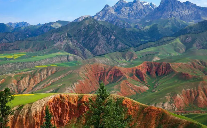 1655868854660573.png image.png