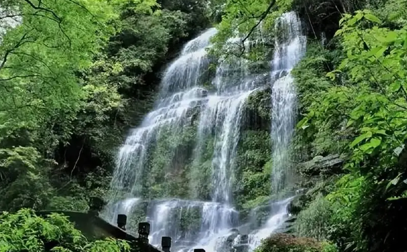 1655868865115221.png image.png