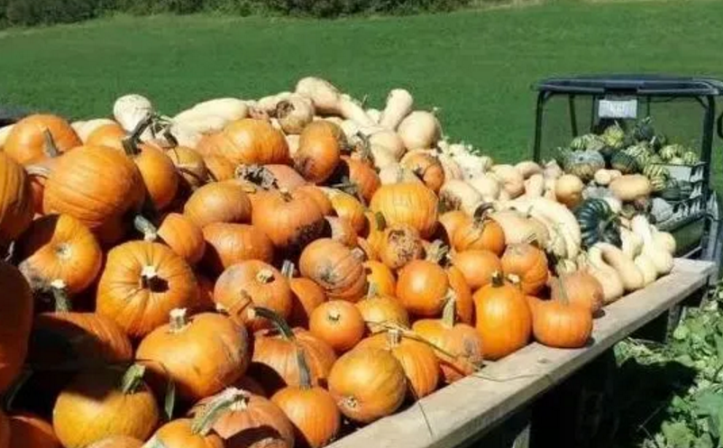 1656054858988440.png image.png