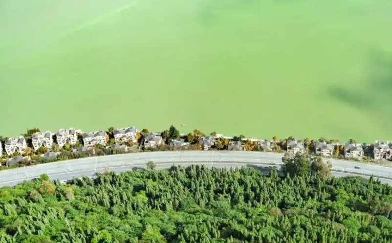 1656403718738977.png image.png