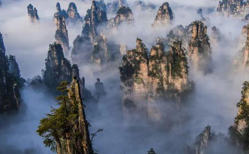 1656404128979907.png image.png