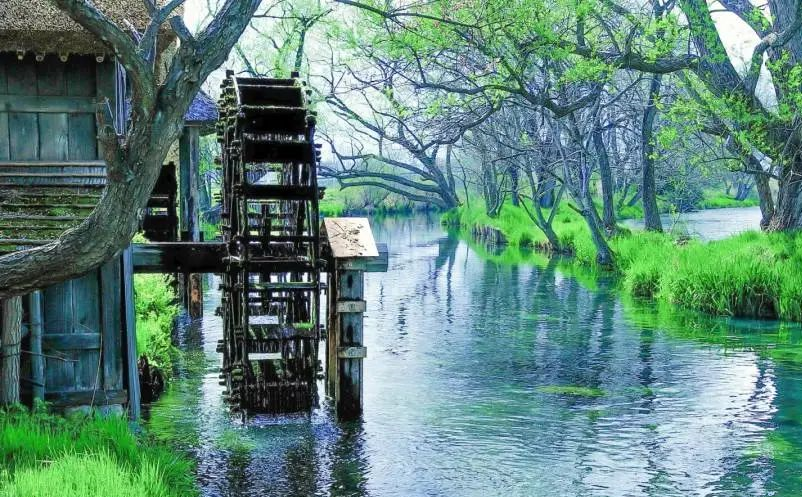 1656666813404970.png image.png