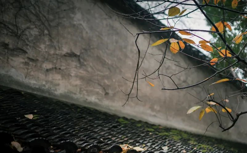 1657272525410874.png image.png