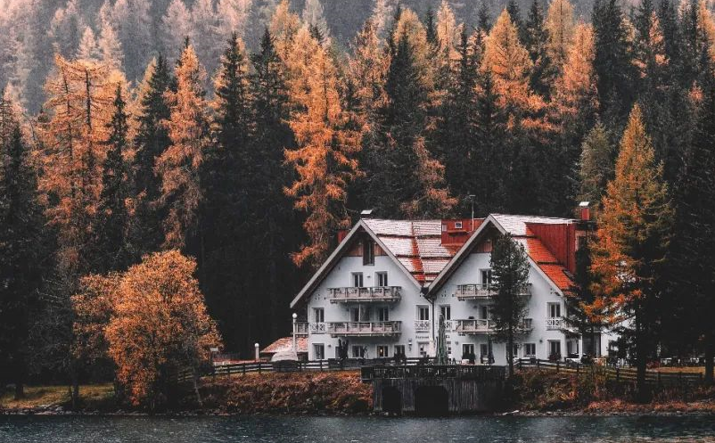 1657272540406919.png image.png