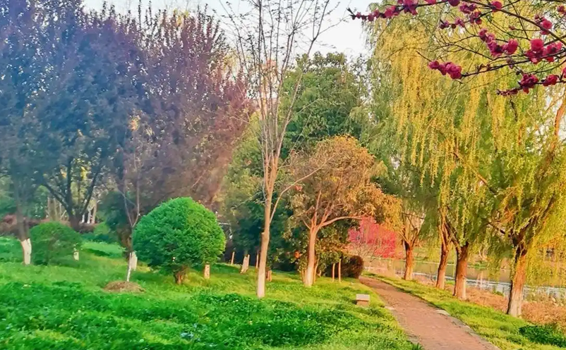 1657788347261999.png image.png