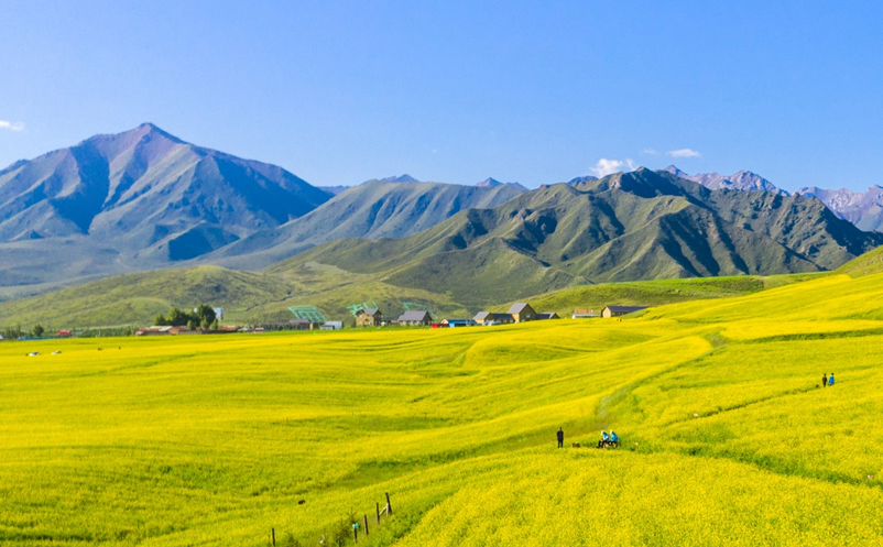 1658300663627248.png image.png