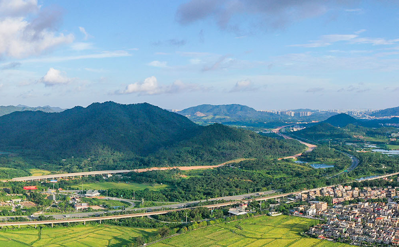 1658306049375820.png image.png