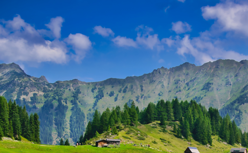 1658480332947059.png image.png