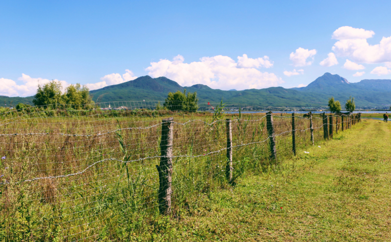 农村智慧旅游 农村智慧旅游