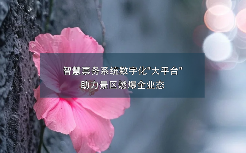 1719278472538389.png image.png