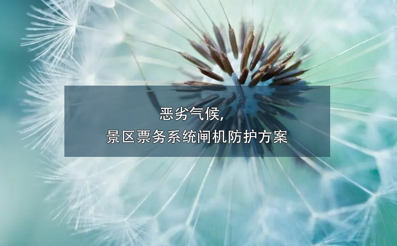 1725003186635358.png image.png