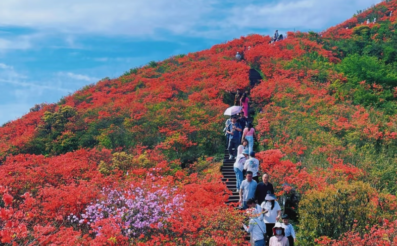 1746500169914812.png image.png